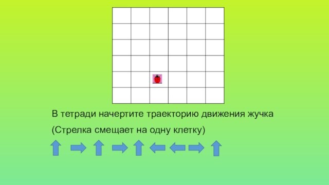 В тетради начертите траекторию движения жучка(Стрелка смещает на одну клетку)