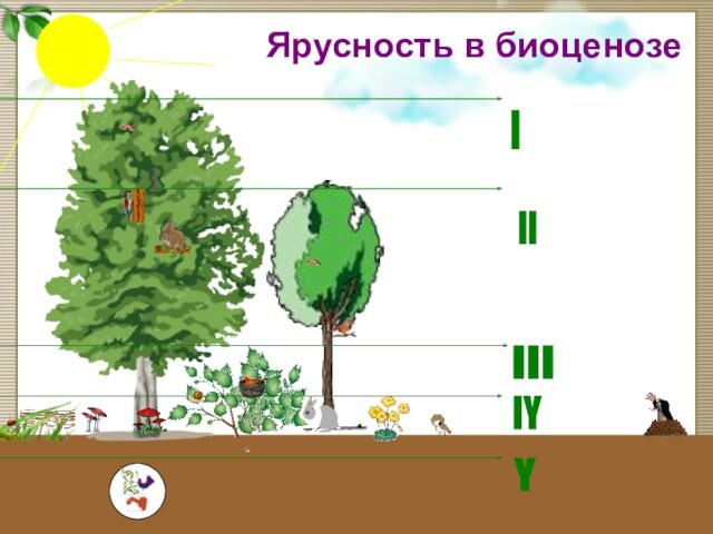 Презентация на тему естественные и искусственные биоценозы 7 класс