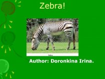 Zebras are wild animals from Africa