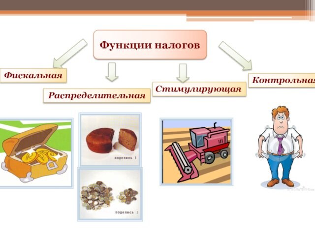 Функции налоговСтимулирующаяФискальнаяРаспределительнаяКонтрольная