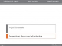 Project comments. Project comments International finance and globalization