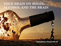 Alcohol and the brain