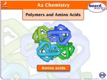 Polymers and amino acids