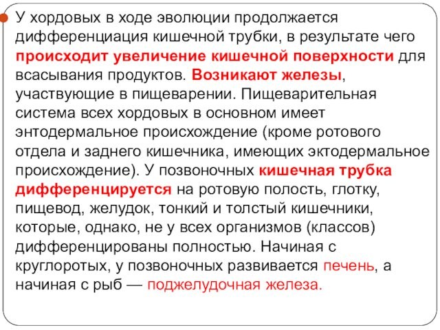 Эволюция продолжается. Эволюция пищеварительной системы презентация. Эволюция пищеварительной системы животных презентация. Направления эволюции пищеварительной системы. Презентация Эволюция пищеварительной системы животных 7 класс.