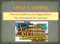 Латинский язык. Медицинская терминология