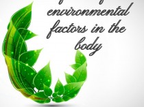 Harmful environmental factors