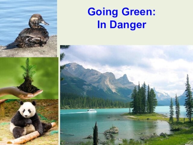 Going green: in danger