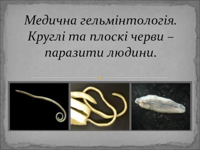 Медична гельмінтологія. Круглі та плоскі черви –паразити людини. Лекція 9