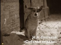 М.А. Булгаков Собачье сердце