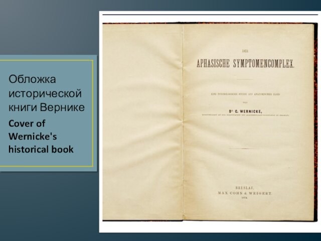 Обложка исторической книги ВерникеCover of Wernicke's historical book