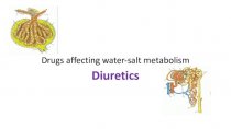 Drugs affecting water-salt metabolism. Diuretics
