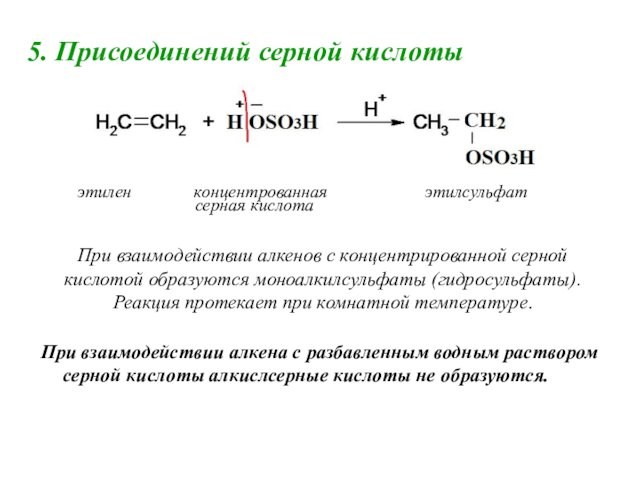 5. Присоединений серной кислоты  этилен    концентрованная