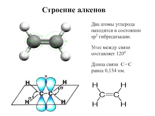 Строение алкеновДва атомы углерода находятся в состоянии sp2 гибридизации.Угол между связи составляет 1200 Длина связи