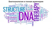 Биотехнология и генная инженерия