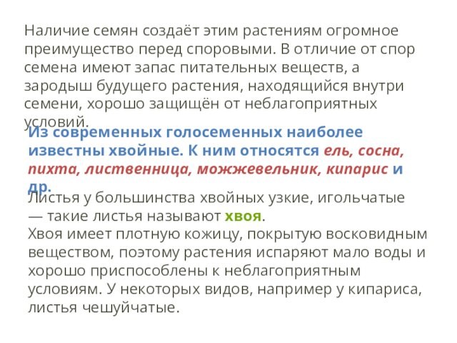 Наличие семян создаёт этим растениям огромное преимущество перед споровыми. В отличие от спор семена имеют