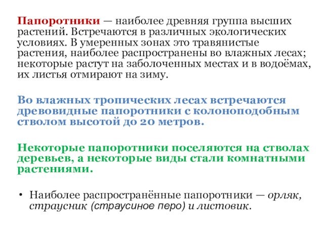 Папоротники — наиболее древняя группа высших растений. Встречаются в различных экологических условиях. В умеренных зонах это