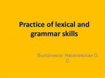 Practice of lexical and grammar skills