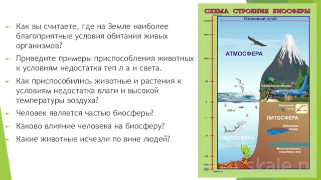 Презентация живая оболочка земли 5 класс география презентация