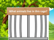 What animals live in this cage