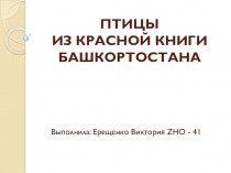 Птицы из красной книги Башкортостана. Региональный компонент на уроках математики в начальной школе