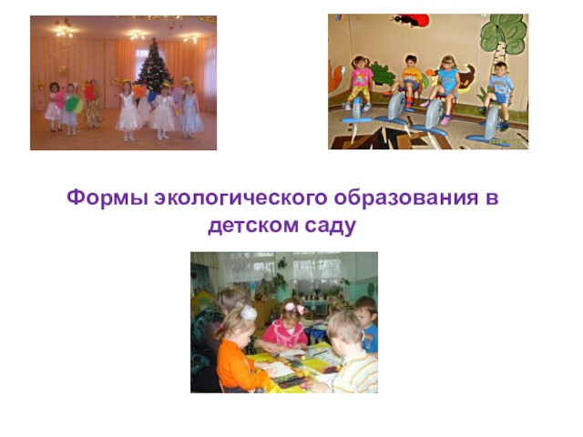 Формы экологического образования в детском саду