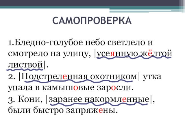 САМОПРОВЕРКА1.Бледно-голубое небо светлело и смотрело на улицу, |усеянную жёлтой листвой|.2. |Подстреленная охотником| утка упала в