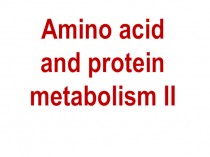 Amino acid and protein metabolism II