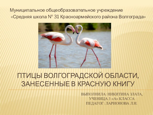 Птицы Волгоградской области, занесенные в Красную книгу