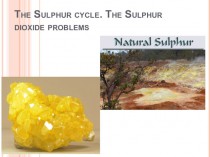 The Sulphur cycle. The Sulphur dioxide problems