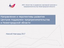 Направления и перспективы развития Центров поддержки предпринимательства в Нижегородской области