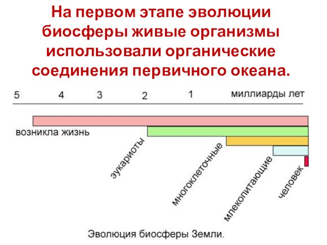 Основная роль в эволюции биосферы. Эволюция биосферы. Длительность эволюции биосферы.