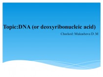 DNA (or deoxyribonucleic acid)