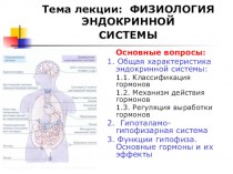 Физиология эндокринной системы