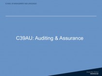 Auditing & assurance. Introduction to course