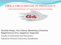 Ebola virus disease in pregnancy: