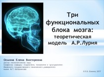 Три функциональных блока мозга: теоретическая модель А.Р.Лурия