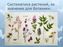 Систематика растений, ее значение для ботаники