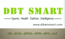 DBT Smart. Technology Roadmap
