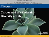 Carbon and the molecular diversity of life. (Chapter 4)