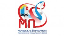 Отчет молодежного парламента Чернушинского муниципального района за 2016 год