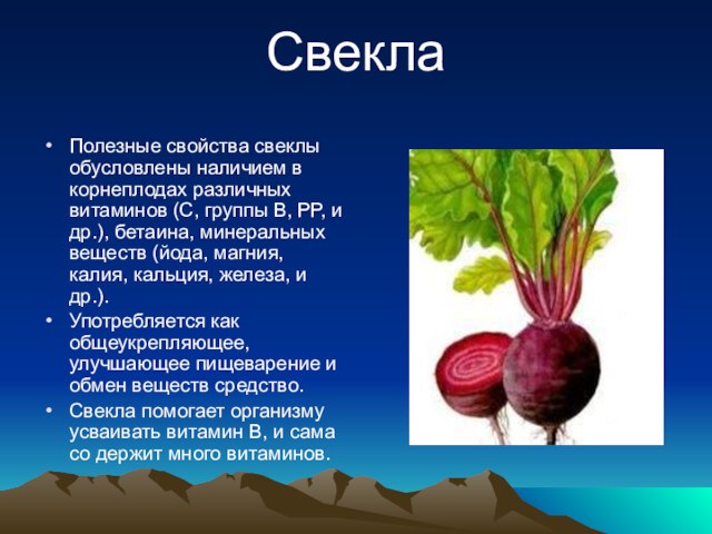 Польза листьев свеклы для организма. Полезные свойства свеклы. Технологическое качество свеклы определяет. Полезная свекла.