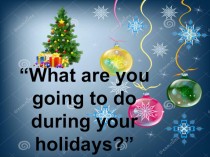 What are you going to do during your holidays?