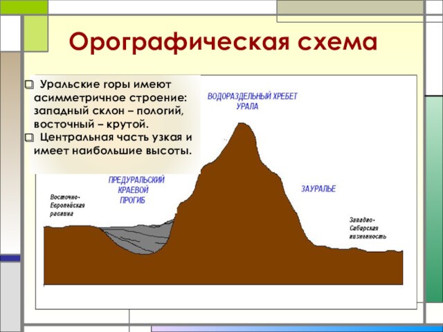 Орографическая схема Уральские горы имеют асимметричное строение: западный склон – пологий, восточный – крутой. Центральная часть