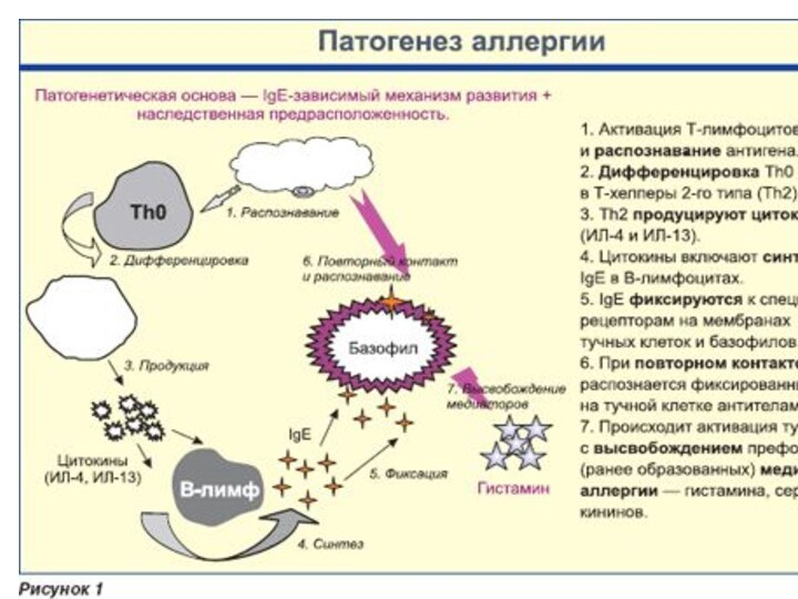 Иммунотропные средства картинки