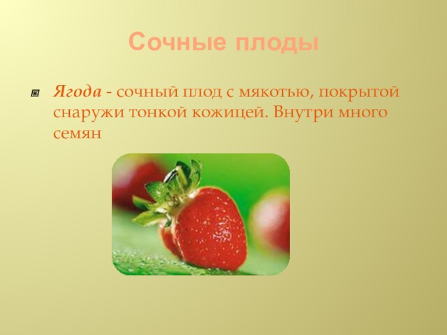 Сочные плодыЯгода - сочный плод с мякотью, покрытой снаружи тонкой кожицей. Внутри много семян