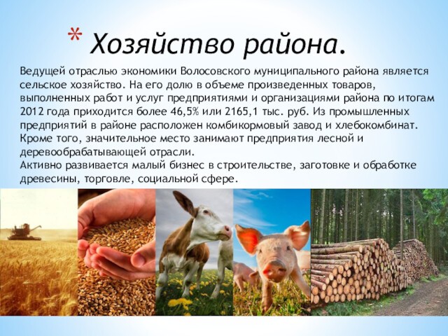  Хозяйство района.Ведущей отраслью экономики Волосовского муниципального района является сельское хозяйство. На его долю в объеме произведенных
