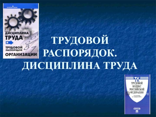 Презентация трудовой распорядок и дисциплина труда