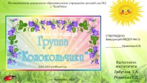 Муниципальное дошкольное образовательное учреждение детский сад №253 г. Челябинск