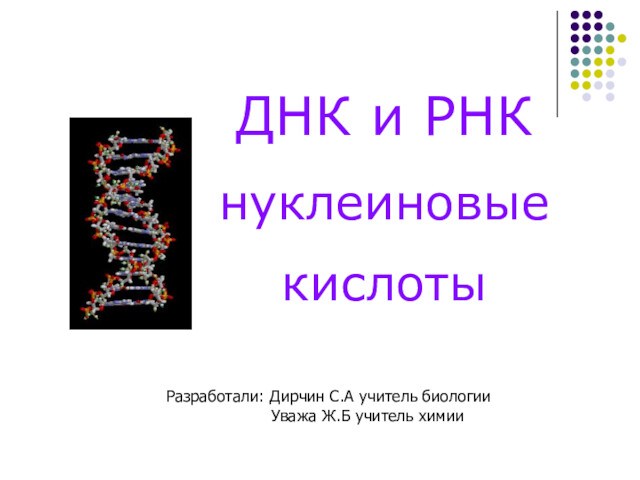 ДНК и РНК нуклеиновые кислоты