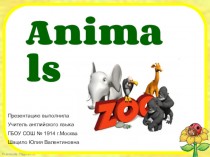 Animals. Zoo